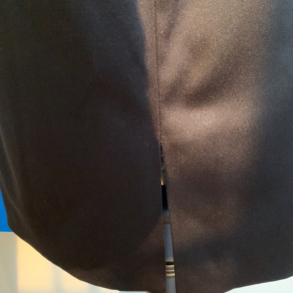 COPY - EXPRESS NEW Satin Dress - Picture 9 of 12